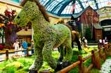 Bellagio's Fall 2011 Display